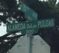 alameda de las pulgas