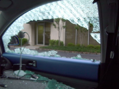 inside the broken skull of the smartbeetle