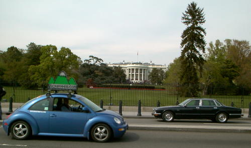 white house smartbeetle